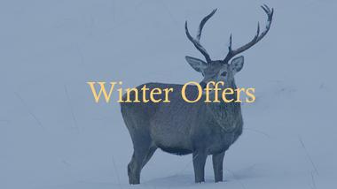 Winter Offers at the Kinlochewe Hotel in Torridon